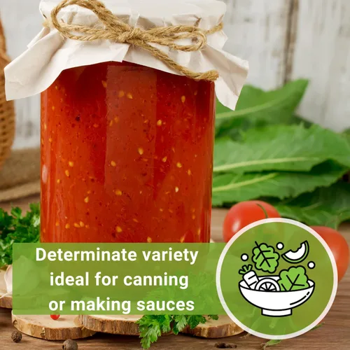 Vista 6 de Sow Right Seeds - Semillas de tomate Marglobe para plantar - Paquete de reliquia sin OMG con instrucciones para plantar y cultivar un huerto casero