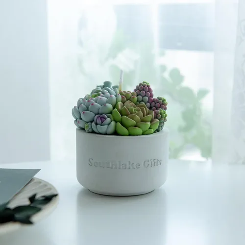 Vista 9 de Surtido suculento olla perfumada vela de cera vegetal para spa decoración del hogar regalo de boda