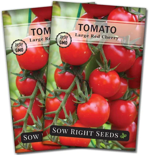 Vista 7 de Sow Right Seeds - Semillas grandes de tomate cereza roja para plantar - Paquete de reliquia sin OMG con instrucciones para plantar un huerto casero