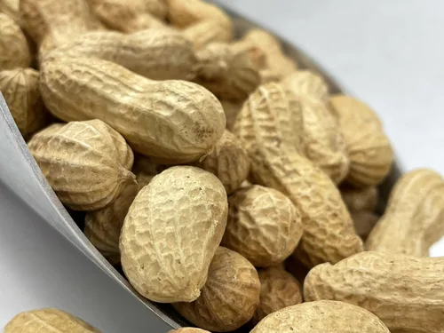 Vista 3 de Cacahuetes crudos prémium en cáscara para alimentación animal - 10 libras