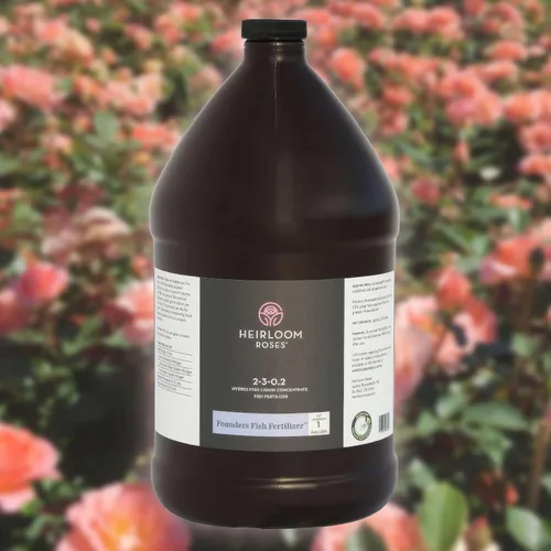 Vista 10 de Heirloom Roses, Get Growing Bundle, kit de plantación y cuidado de rosas y flores, grande