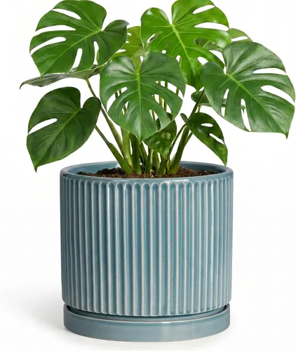 Vista 34 de 8 Inch Flower Pot, Ceramic Planters, Round Plant Pot, Beige
