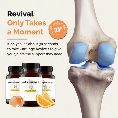Vista 6 de UpWellness Cartilage Revive + Suplemento de apoyo articular para hombres y mujeres con colágeno tipo II para articulaciones – Sulfato