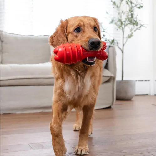 Vista 7 de Outward Hound Grunt Fetch Stick - Juguete para perro, conejito, rojo