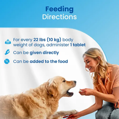 Vista 10 de Bio PetActive VitaliDOG Multivitamínico masticables para perros con biotina, vitaminas A E complejo B y aminoácidos, apoya la piel sana, el pelaje
