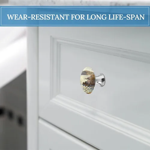 Vista 5 de Cap Negre Watercolor Drawer Pulls Modern Stainless Steel Door Handle Round Cabinet Knobs Exquisite Drawer Knobs Fashion Cabinet Handles Closet Door