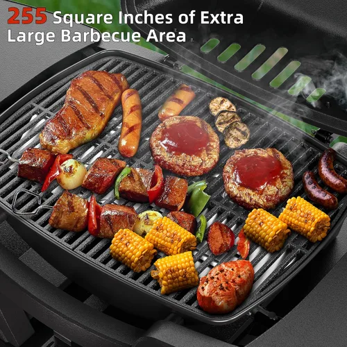 Vista 2 de Parrilla de gas portátil, parrilla de propano portátil, parrilla de gas propano, 24,000 BTU para exteriores, pequeña parrilla de barbacoa con dos