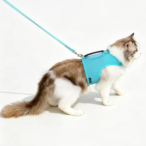 Vista 18 de Arnés de gato con correa, ajustable para gatos, chaleco acolchado para gatos, Black Plaid