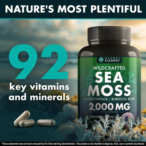 Vista 2 de Cápsulas de Musgo Marino - Musgo Marino Irlandés Avanzado con Raíz de Bardana, Fucus & Muira Puama para la Inmunidad, el Intestino y la Energía