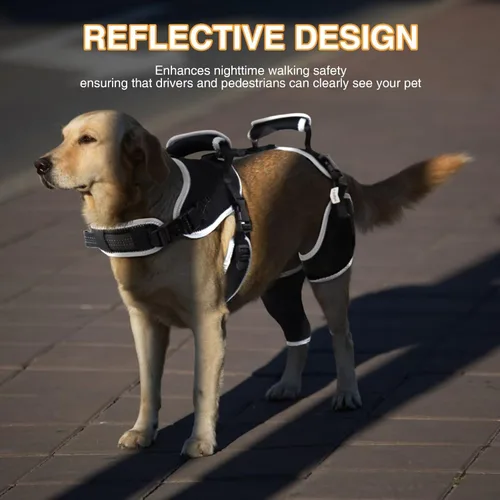 Vista 6 de Soporte ajustable para perro ACL Brace pata trasera pierna derecha-mejorada/talla L