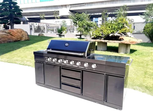 Vista 8 de Parrilla de cocina de acero inoxidable 3 en 1 negro para barbacoa al aire libre, isla de cocina, gas licuado de gas licuado de gas licuado de gas