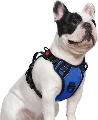 Vista 35 de rabbitgoo Arnés para perro de tamaño pequeño, arnés para mascotas sin tirones con mango acolchado suave, chaleco reflectante ajustable con 3
