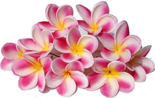 Vista 12 de 10 flores artificiales de plumeria con tallo, albaricoque