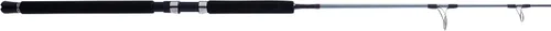 Vista 2 de Penn Caña de pescar giratoria Prevail III Jig