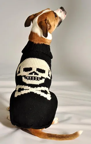 Vista 3 de Chilly Dog Suéter de calavera negra (XX-Small)