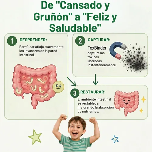 Vista 4 de Velvra Kids - Suplemento de salud intestinal líquido, sistema de apoyo digestivo a base de hierbas de 2 pasos con sabor a frambuesa, fórmula