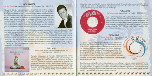 Vista 6 de Destination Desert 32 Oriental Rock 'n' Roll Treasures