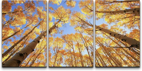 Vista 78 de wall26 Lienzo enmarcado para pared, juego de arte de fila de palmeras de California y cielo azul, naturaleza, vida silvestre, fotografía, realismo