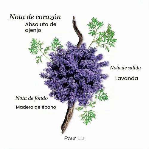 Vista 4 de Mauboussin - Pour Lui 3.4 fl oz (3.3 Fl Oz) - Eau de Parfum para Hombre - Fragancias de Helecho y Modernos