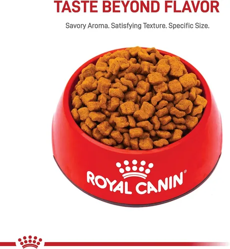 Vista 8 de ROYAL CANIN NUTRICIÓN SANA PARA RAZA bulldog cachorro, alimento seco para perro