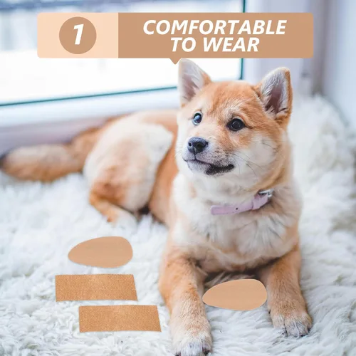 Vista 9 de VANZACK Herramienta de soporte para orejas de perro, herramienta de soporte para orejas de perro, corrección fija, soporte vertical, cubierta