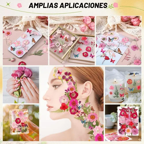 Vista 6 de 160 piezas de flores secas prensadas a granel natural, rosa, rosa
