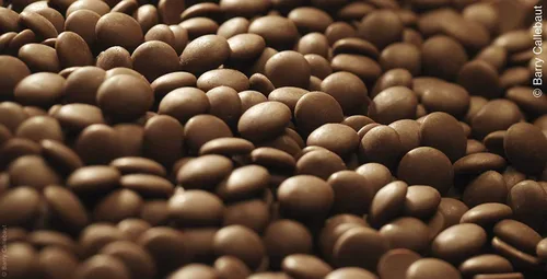 Vista 5 de Chocolate negro 53,8% Callebaut