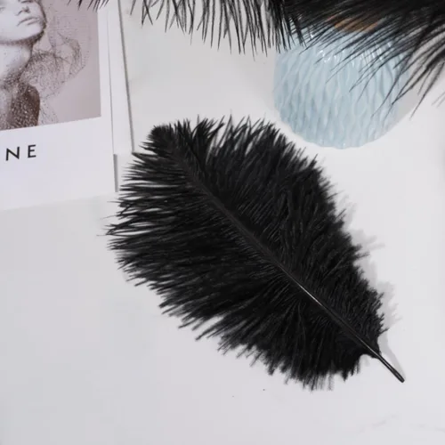 Vista 4 de Shekyeon - Plumas de avestruz (20 unidades, 7.9-9.8 in, 20 unidades)