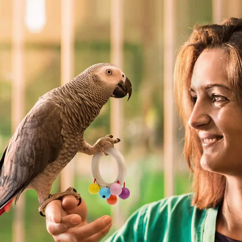 Vista 2 de Juguetes interactivos de mano para pájaros grandes para loro de pie, paquete de 4