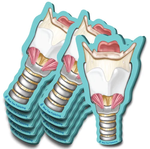 Vista 7 de Notas Adhesivas de Anatomía