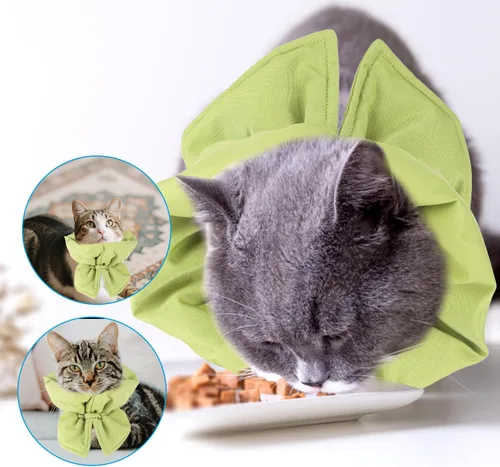 Vista 6 de BOXOB Soft & Light Adjustable Recovery Collar for Cats & Dogs (Green)