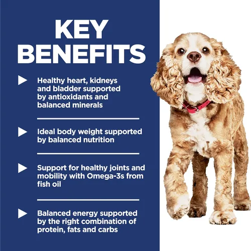 Vista 4 de Alimentos secos para perros de raza pequeña y mini, de Hill’s Science Diet, Adultos 11+