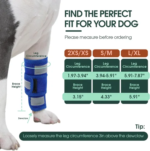 Vista 7 de Kuoser Soporte de pierna delantera para perro y protector de codo, codo ajustable para perro con tira reflectante, manga de compresión para piernas