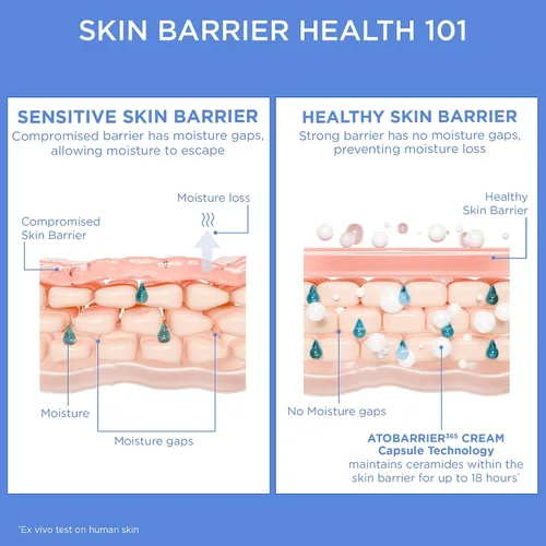 Vista 5 de AESTURA ATOBARRIER365 Crema con Ceramidas, Hidratante Facial Coreano para Reparación de la Barrera Hidratación Duradera de 120H, Cápsulas
