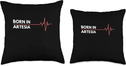 Vista 3 de Made In Artesia New Mexico Co. Inc. Made in Artesia New Mexico City of Birth Birthplace - Almohada de 16 x 16 pulgadas, multicolor