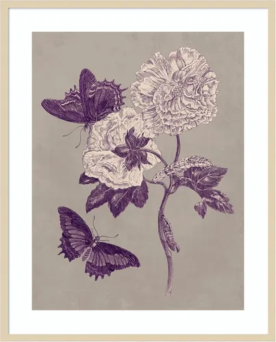 Vista 6 de Amanti Art Lienzo decorativo para pared, 24 x 20 pulgadas, estudio de la naturaleza en ciruela y gris pardo IV por Maria Merian, arte de pared