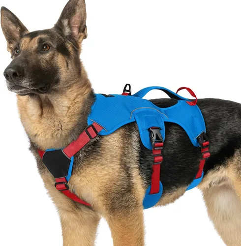 Vista 61 de rabbitgoo Arnés de perro a prueba de escape para pequeños, sin tirones con Negro