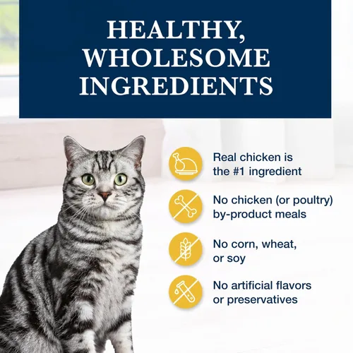 Vista 6 de Blue Buffalo Natural Veterinary Diet K+M Kidney + Mobility Support Alimento seco para gatos, pollo bolsa de 7 libras