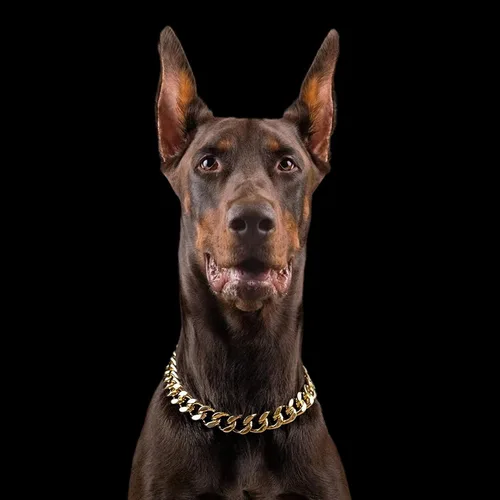 Vista 3 de Collar de cadena de oro para perro, collar de cadena de metal de 18 quilates, collar de perro con eslabones cubanos con diseño de hebilla segura