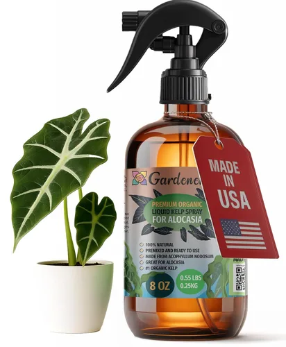 Vista 21 de GARDENERA Spray orgánico profesional de algas marinas para plantas AGLAONEMA – 8 oz – Rocío fertilizante de algas marinas y algas marinas totalmente