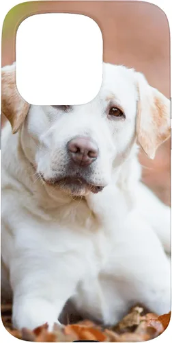 Vista 14 de Labrador Retriever Dog Lover - Carcasa para iPhone 17