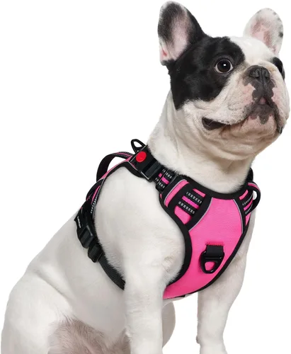Vista 36 de rabbitgoo Arnés para perro de tamaño pequeño, arnés para mascotas sin tirones con mango acolchado suave, chaleco reflectante ajustable con 3
