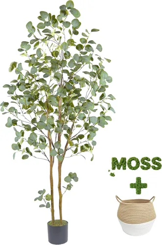 Vista 2 de Warmplants - Árbol de eucalipto artificial de 6 pies de alto con cesta