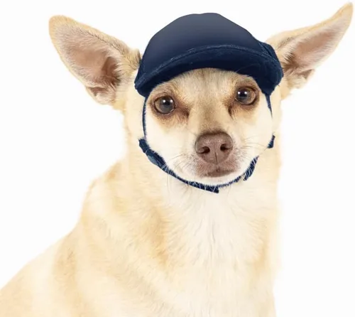 Vista 45 de DIY PupLid Trucker Hats (negro/blanco, XXS) - Sombrero de perro personalizable, lona en blanco para diseño personalizado, ajustable, protección
