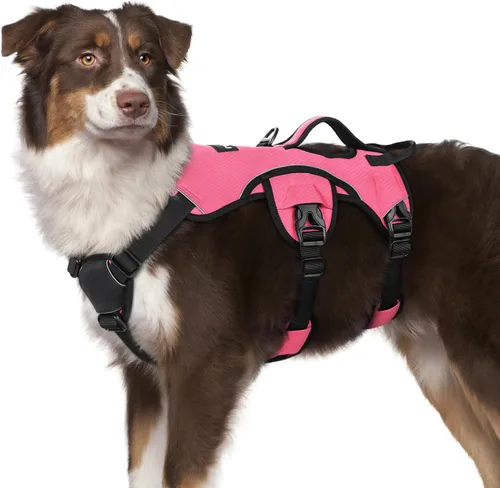 Vista 59 de rabbitgoo - Arnés para perros a prueba de fugas, arnés para mascotas acolchado y suave de cuerpo completo, arnés reflectante ajustable sin tirones