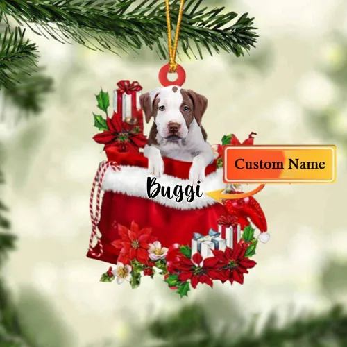Vista 149 de Perro Akita Inu personalizado en bolsa de regalo, adorno de Navidad, nombre personalizado, regalo para amantes de los perros, familia, Navidad