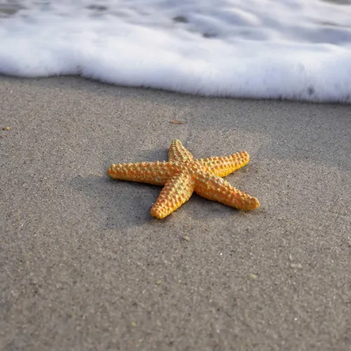 Vista 5 de Safari Ltd. Figura de estrella de mar, vibrante figura de estrella de mar de 4.5 pulgadas, juguete educativo para niños, niñas y niños a partir de 3