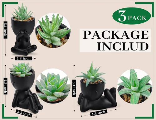 Vista 2 de Der Rose Paquete de 3 plantas suculentas falsas de maceta humana negra para Negro