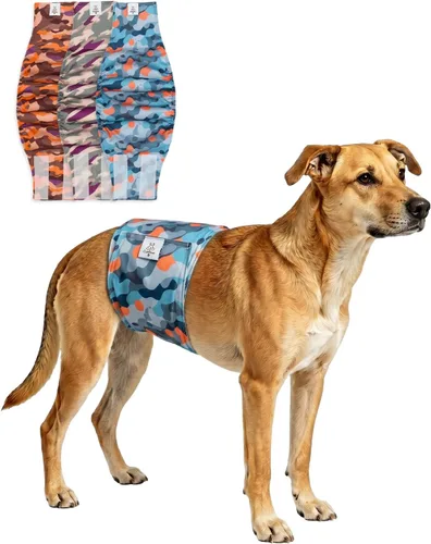 Vista 12 de CuteBone - Pañales lavables para perro macho, banda abdominal, paquete de 3 unidades, color negro, modelo DM54XS