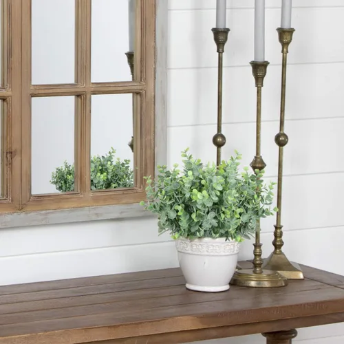 Vista 5 de Rinlong - Plantas para el exterior y flores mixtas